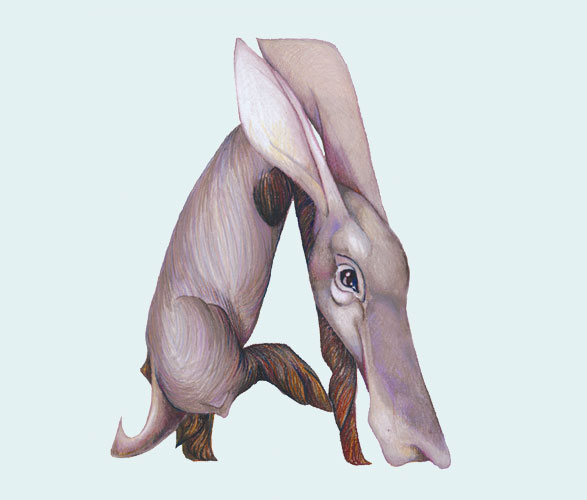 Creative vector Inspiration- Animals in Alphabetical Letters