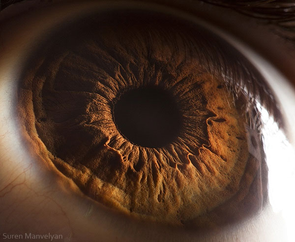 Extreme Macro Photography of Human Eye