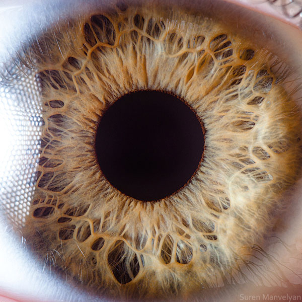 Extreme Macro Photography of Human Eye