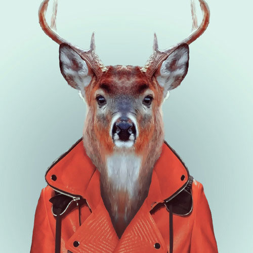 Wild Animals For Fashion Photography (6)
