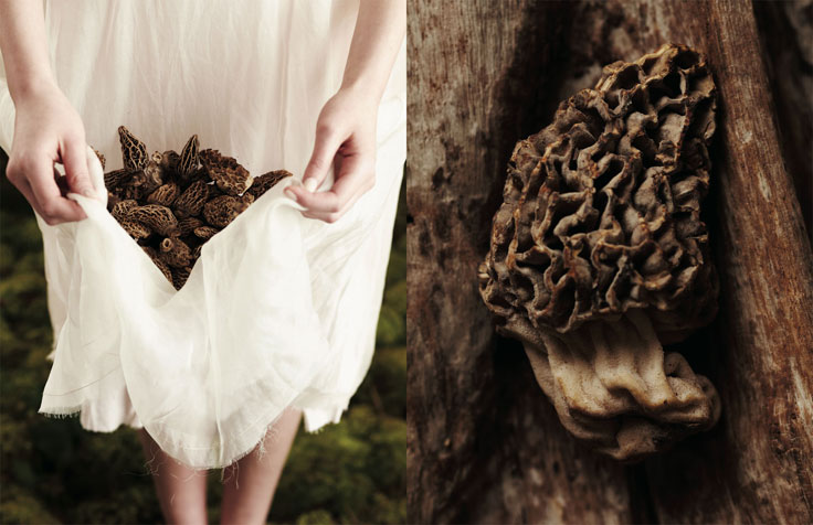 Female + Food + Metal elements photos by Anna Williams