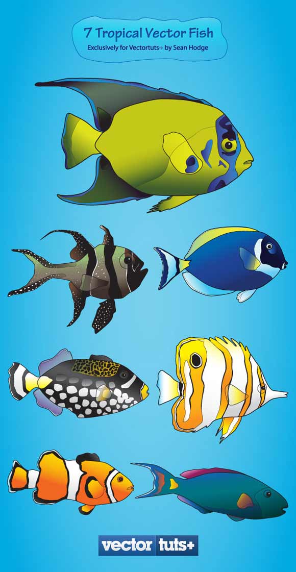 Colorful Vector Plus Pack – Tropical Fish
