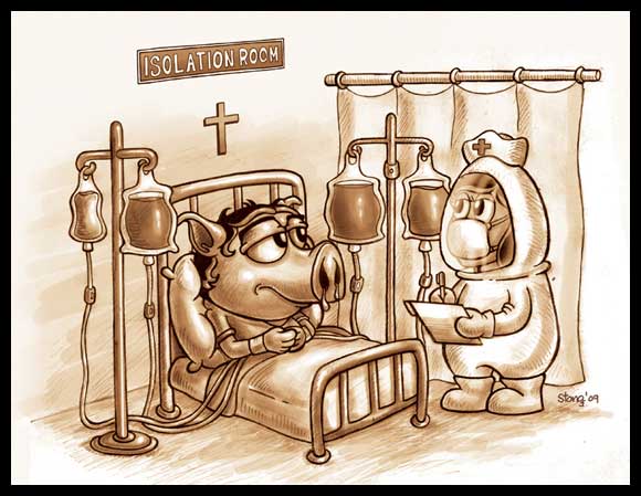 swine flu cartoon by Stongers Inspiration :Cartoonist Stongers and his works