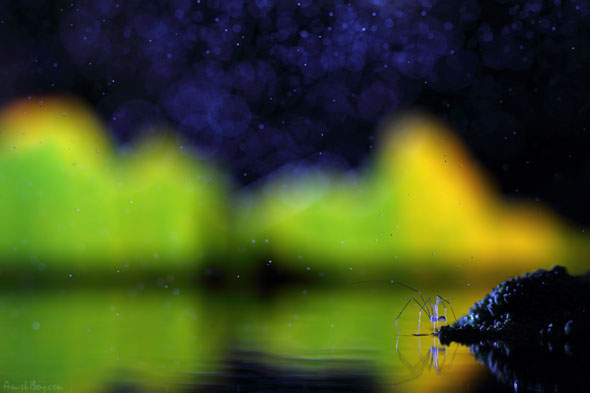 Miniature Wonderland – Creative Macro Photography Inspiration