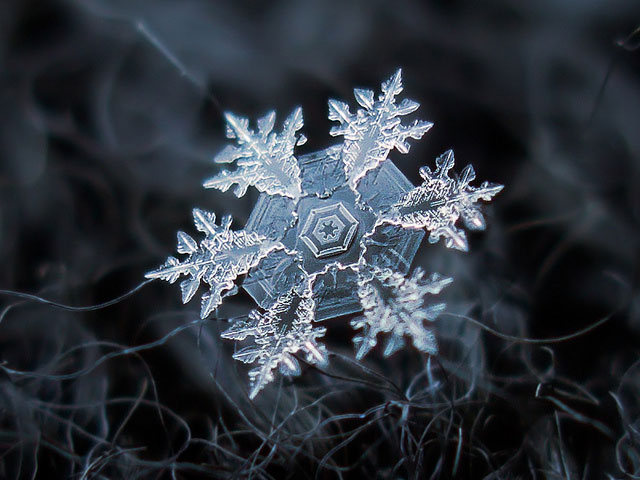 Macro Photography of Snowflakes using normal camera (1)