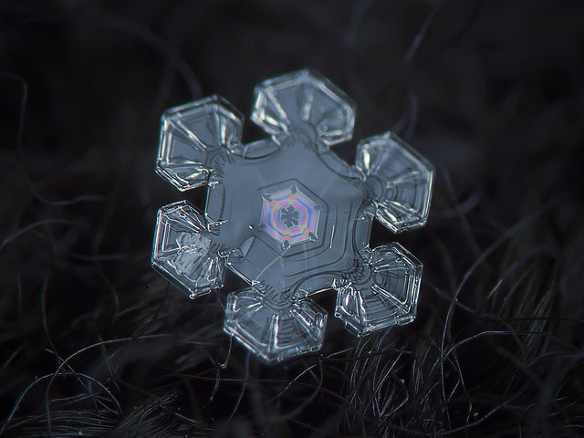 Macro Photography of Snowflakes using normal camera (12)