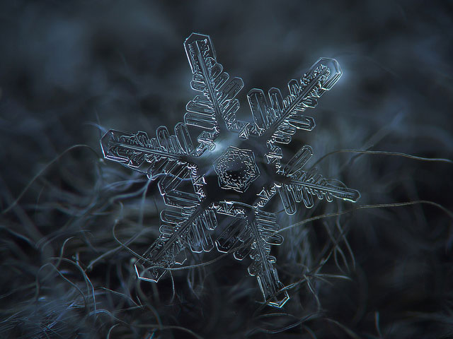 Macro Photography of Snowflakes using normal camera (15)