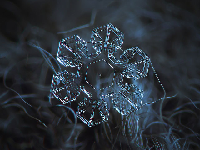 snowflakes macro photography