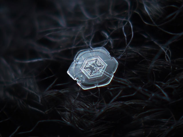 Macro Photography of Snowflakes using normal camera (21)