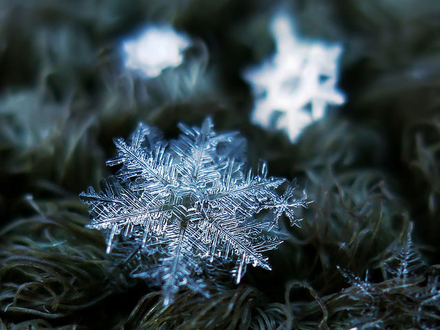 Macro Photography of Snowflakes using normal camera (25)