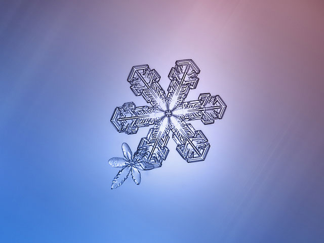 Macro Photography of Snowflakes using normal camera (26)