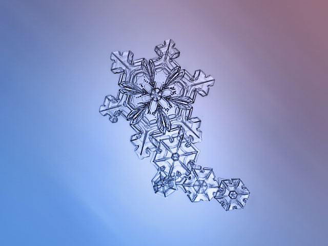 Macro Photography of Snowflakes using normal camera (27)