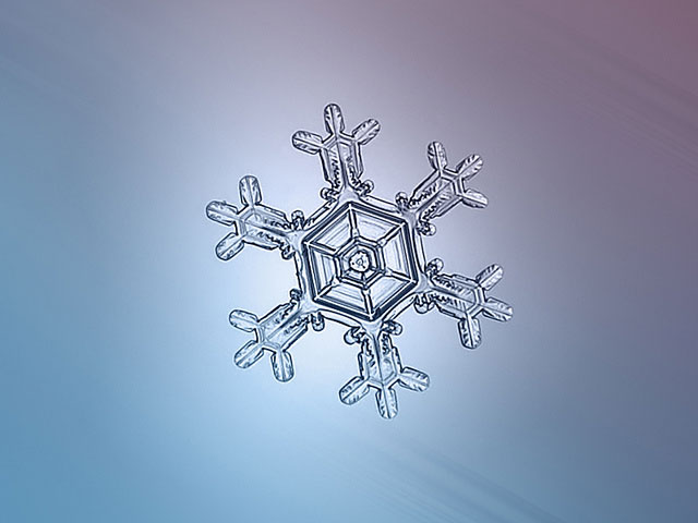 Macro Photography of Snowflakes using normal camera (28)