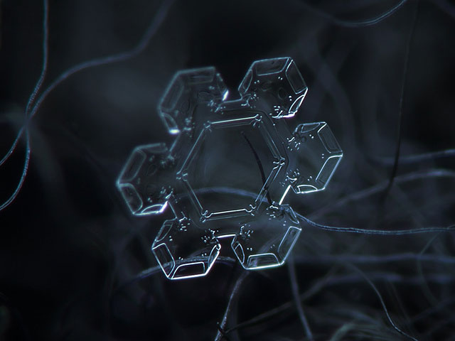 Macro Photography of Snowflakes using normal camera (3)