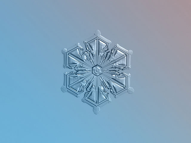 Macro Photography of Snowflakes using normal camera (31)
