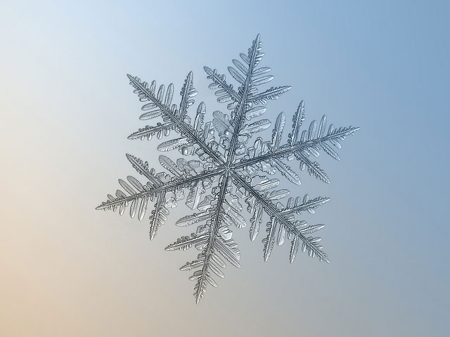 Macro Photography of Snowflakes using normal camera (39)