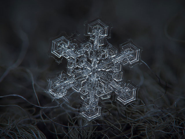 Macro Photography of Snowflakes using normal camera (5)