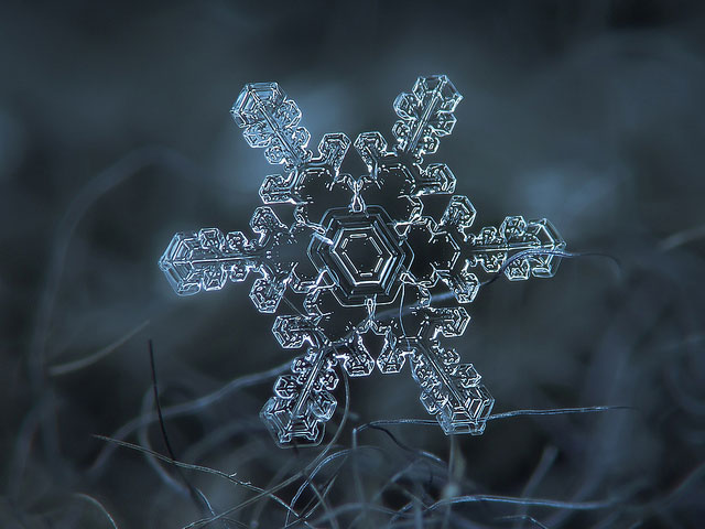 Macro Photography of Snowflakes using normal camera (8)