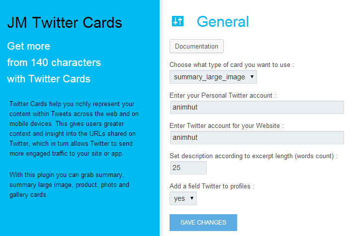 Twitter Card Summary Large Card Settings