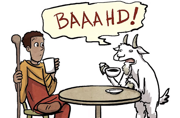 Goat opinion on Coffee is bad if consumed more