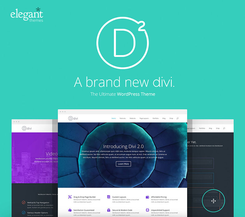 Elegant Themes Giveaway