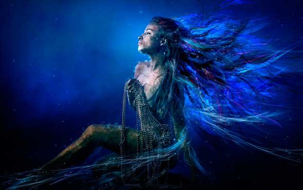 Various illustration