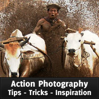 Action Photography: Tips, Tricks and Inspiration