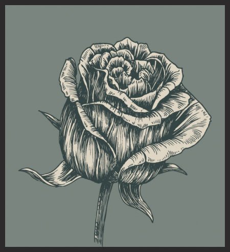 2239-vintage-rose 2239 vintage rose Vectorious.net – A Cool Destination for Stock Vector Images