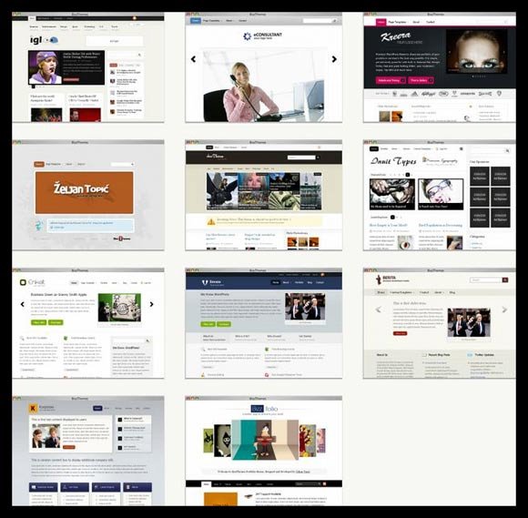 bizztheme Giveaway Day25: Premium Business WordPress Themes-BizzThemes(x3)