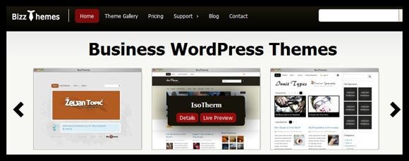 bizzthmes1 Giveaway Day25: Premium Business WordPress Themes-BizzThemes(x3)
