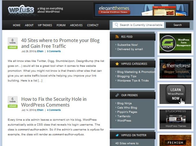 wpbuzz End of the Year 2010!! – Thanks to all our Advertisers, Guest Authors and Readers