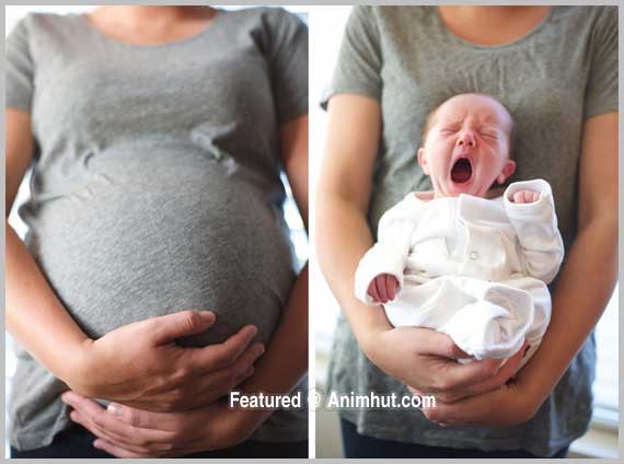 Picture of the day #2 Before and After baby Born
