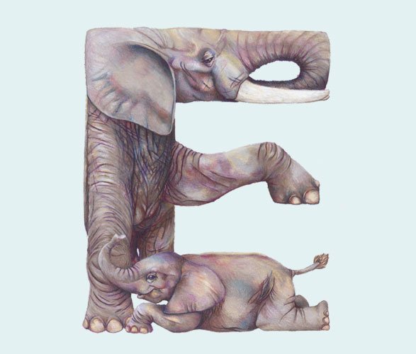 Creative vector Inspiration: Animals in Alphabetical Letters