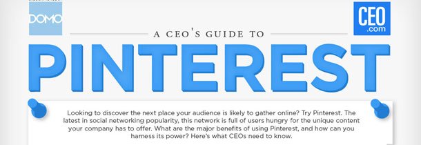 Infographics on Pinterest Guide from CEO Perspective