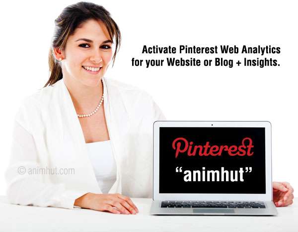 How to Activate Pinterest Web Analytics for your Website