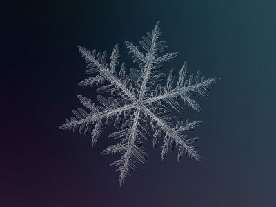 How to take Macro Snowflakes Photography under $50 Customized Lens