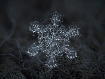 How to take Macro Snowflakes Photography under $50 Customized Lens