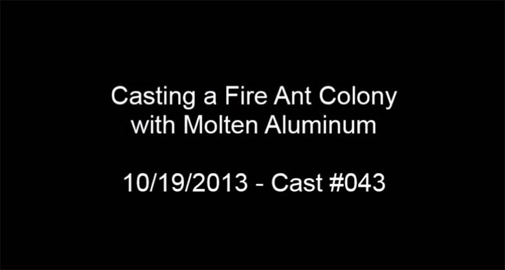 Ant Colony Aluminum Sculptures by Killing Ants - Not an Art ! 3 I am against this art