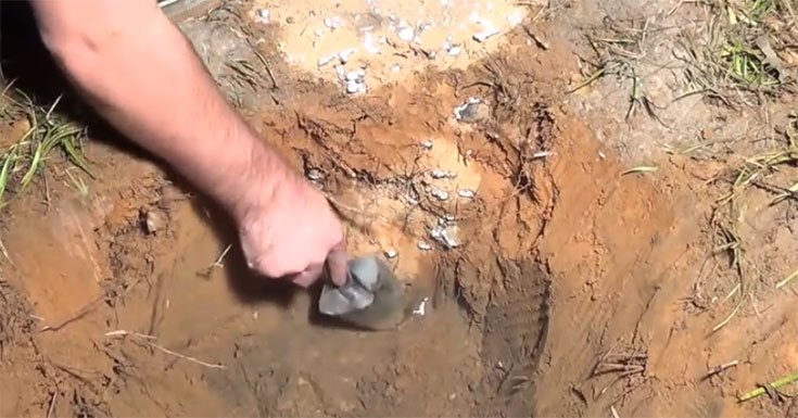 Ant Colony Aluminum Sculptures by Killing Ants - Not an Art ! 6 Ant Colony Aluminum Sculptures by Killing Ants – Not an Art (4)