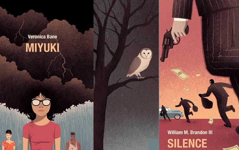 Illustrations for Book Covers from Various Novels