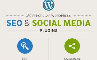 Infographics: Popular WordPress SEO Media Plugins